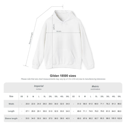 D3's BRAND HP Oversize Hoodie - D3monic